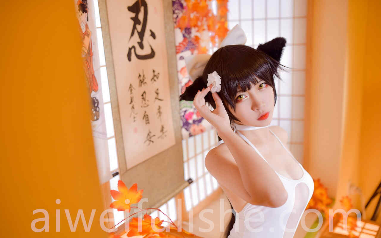二佐Nisa-高雄泳装[31P-234MB] cosplay美女-第2张