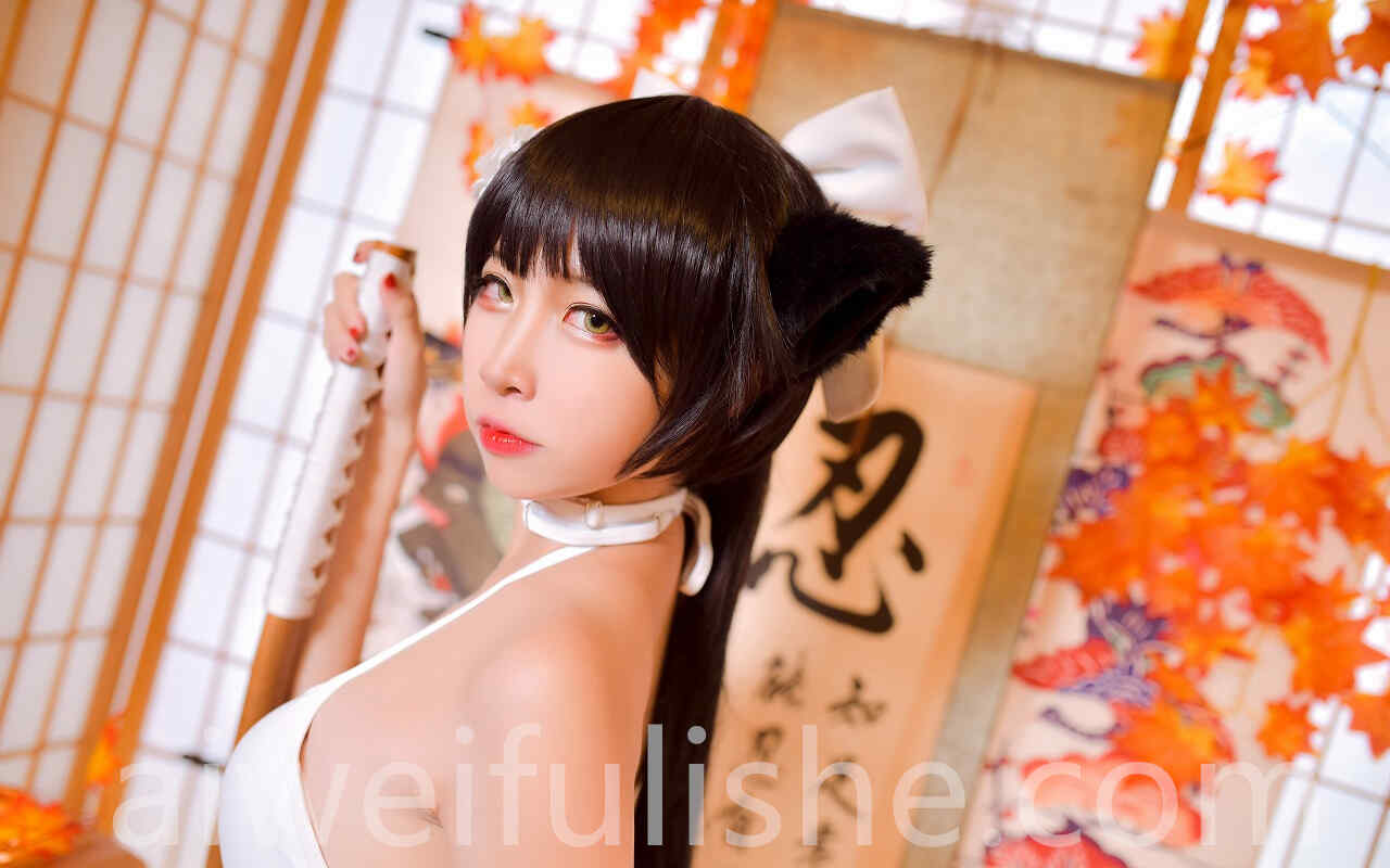 二佐Nisa-高雄泳装[31P-234MB] cosplay美女-第5张