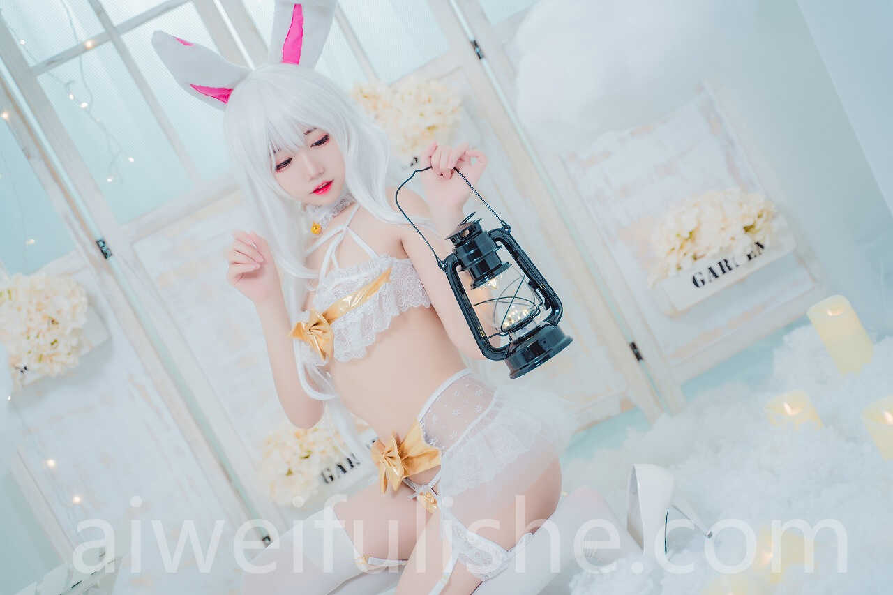 猫君君_MaoJun-私房兔子 [49P1V-566MB] cosplay美女-第3张