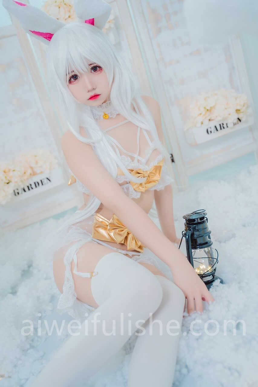 猫君君_MaoJun-私房兔子 [49P1V-566MB] cosplay美女-第4张