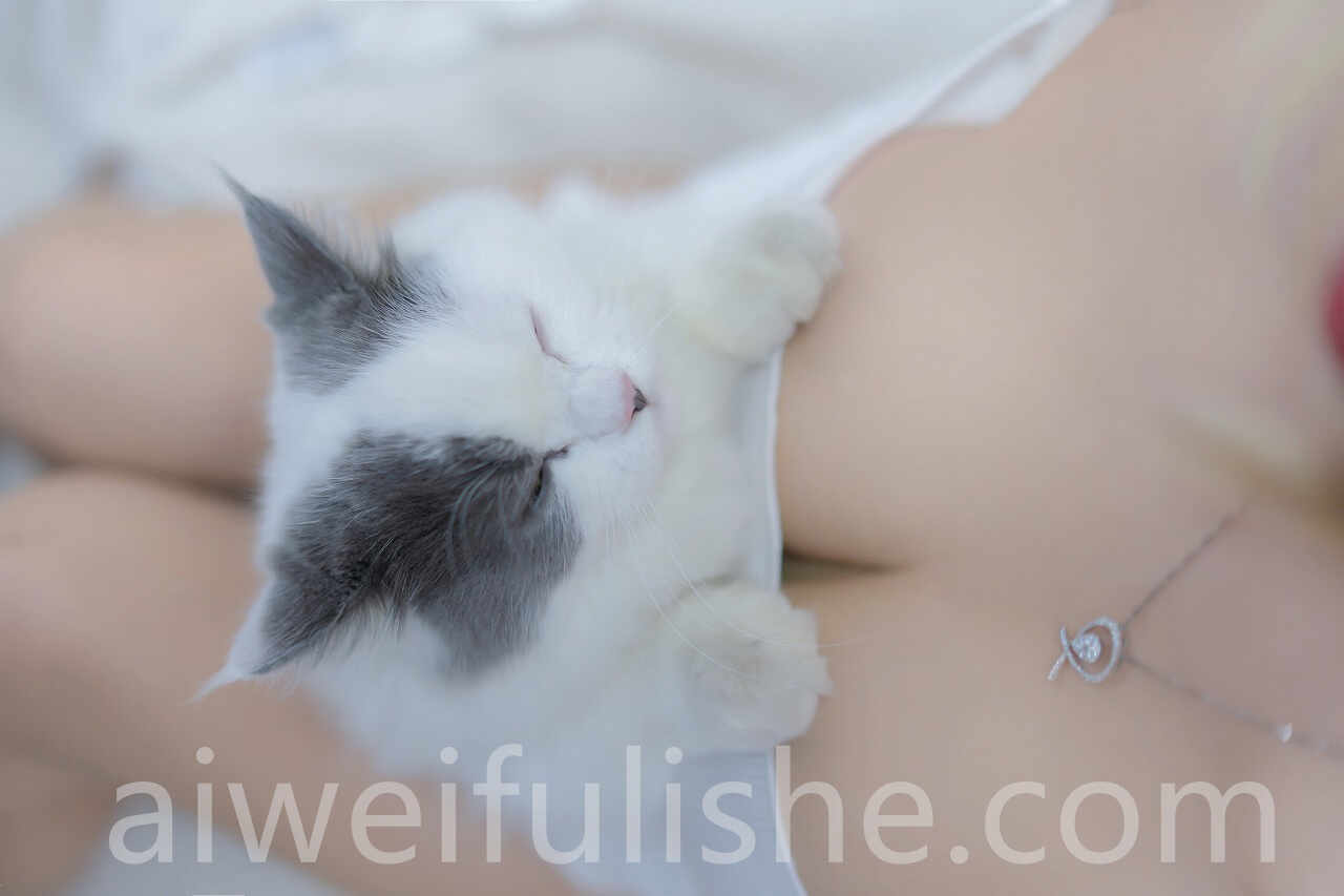 过期米线线喵-我和猫 [90P-114MB] 网红福利-第3张