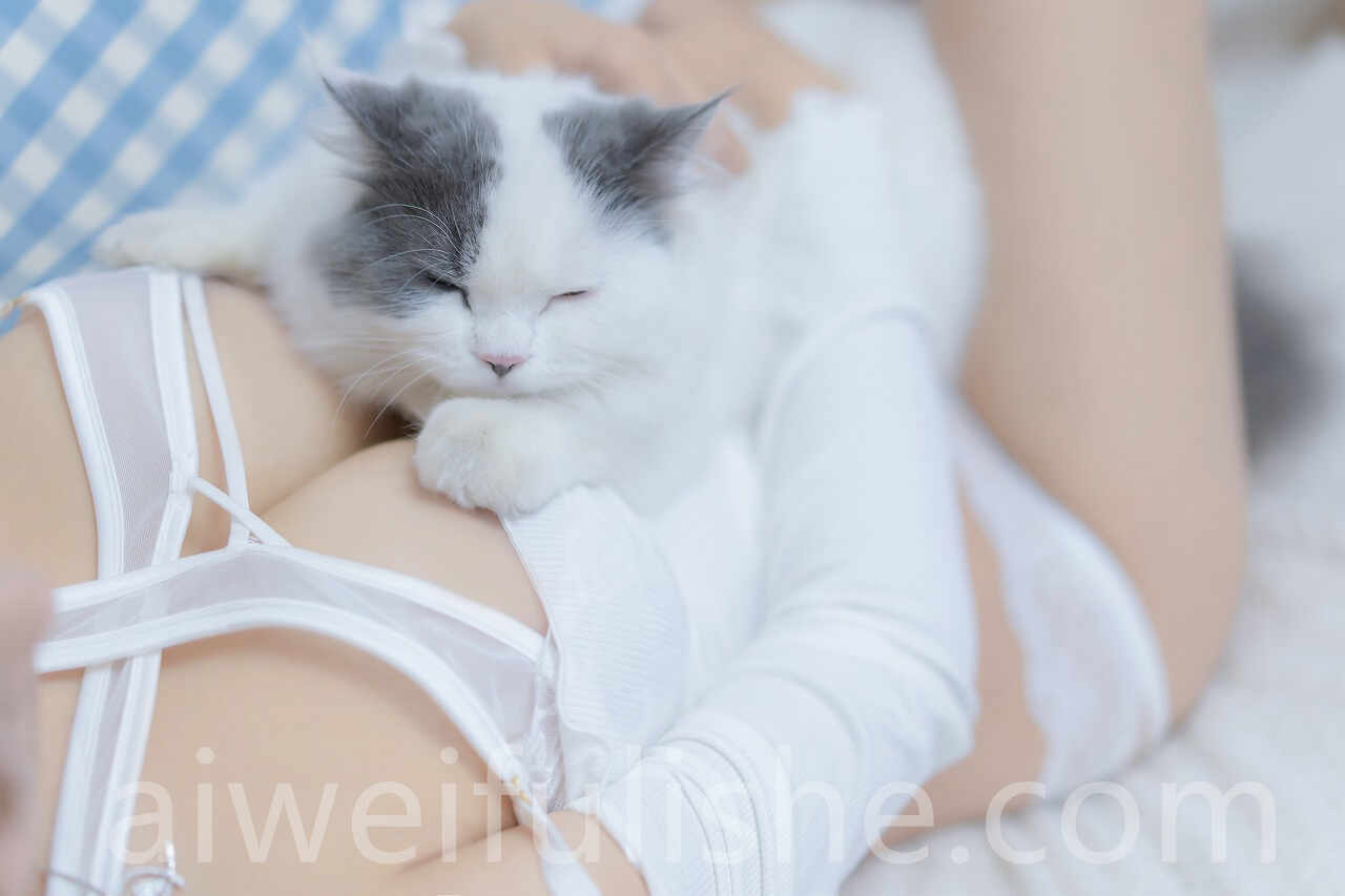 过期米线线喵-我和猫 [90P-114MB] 网红福利-第2张