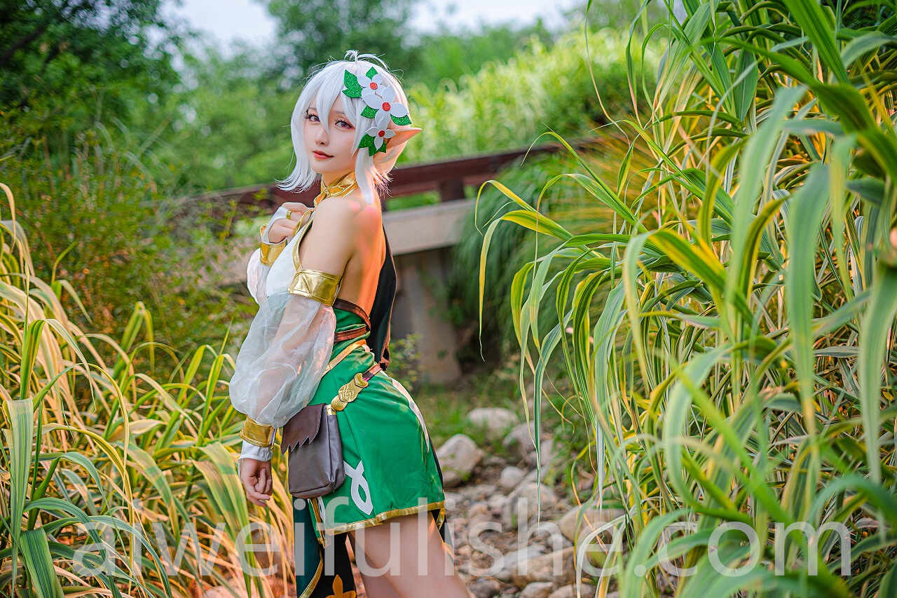 星之迟迟-秘密花园-可可萝 [17P-85MB] cosplay美女-第4张