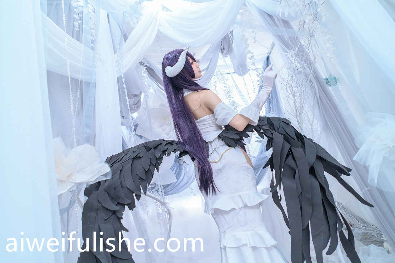 周叽是可爱兔兔 - 雅儿贝德 [16P-226MB] cosplay美女-第5张