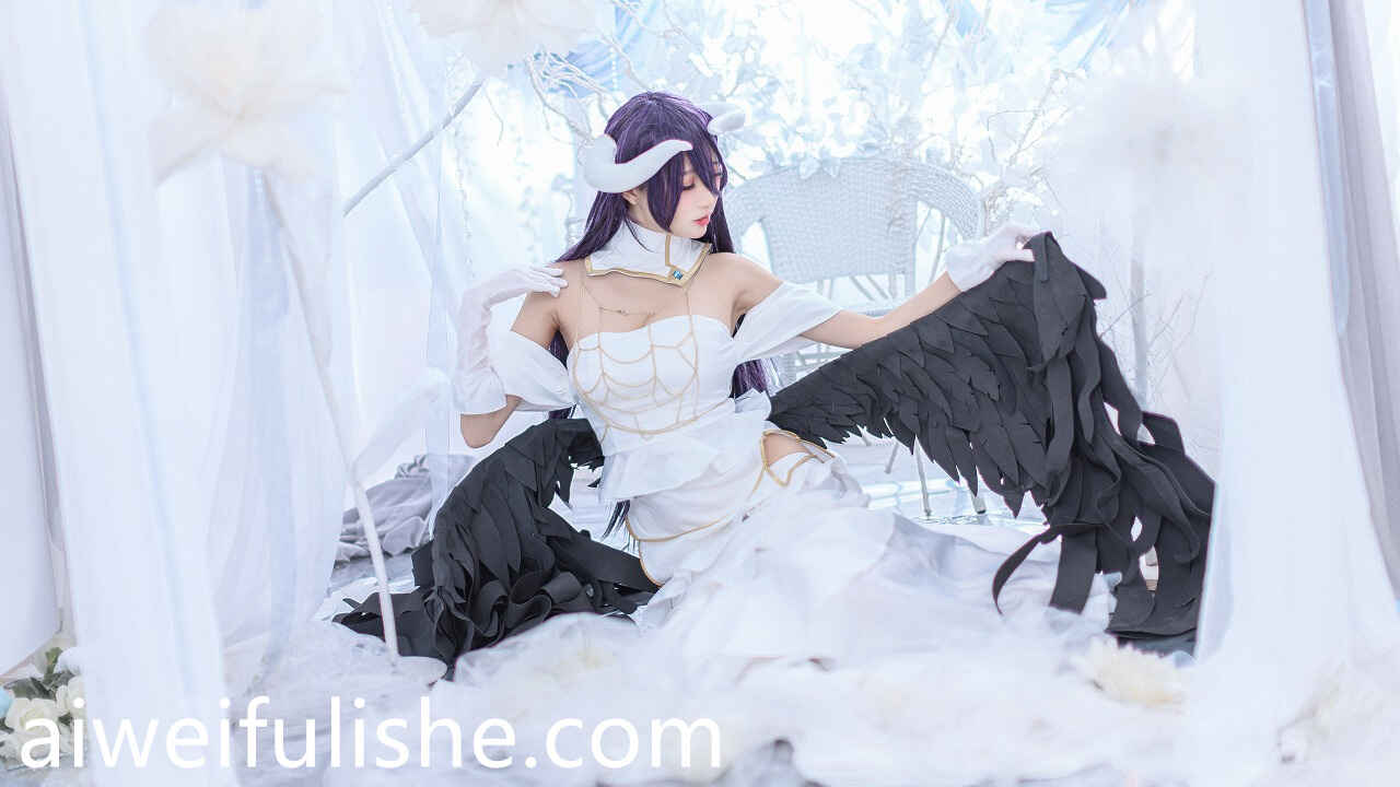 周叽是可爱兔兔 - 雅儿贝德 [16P-226MB] cosplay美女-第1张