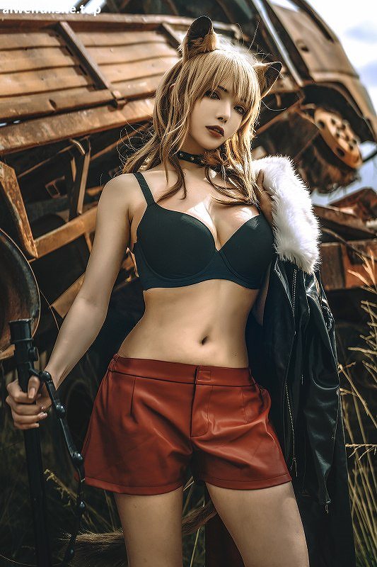 秋和柯基-推进之王 [33P-438MB] 巨乳-第2张