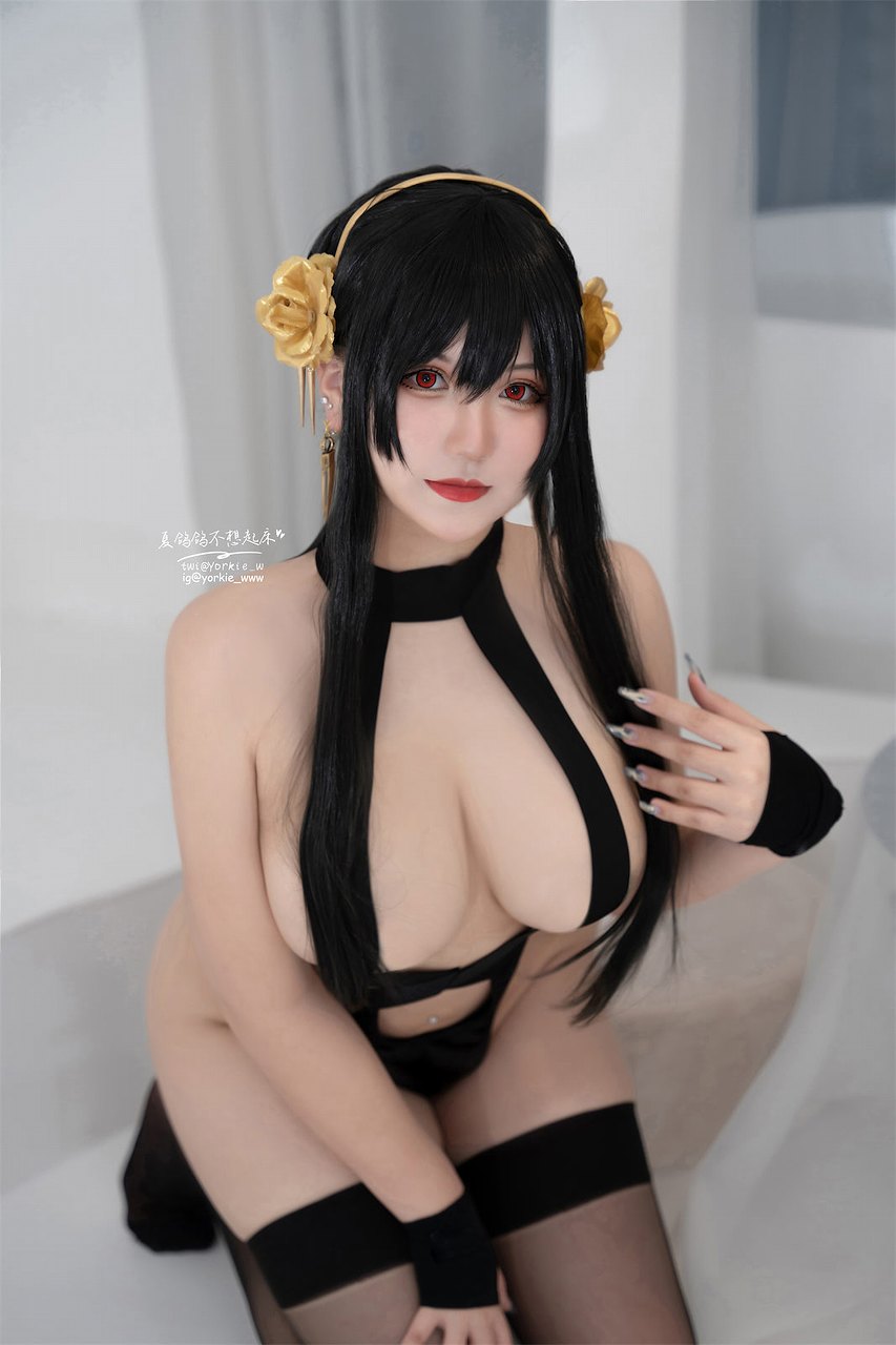 夏鸽鸽不想起床-约尔太太泳衣 [40P1V-132MB] cosplay美女-第2张