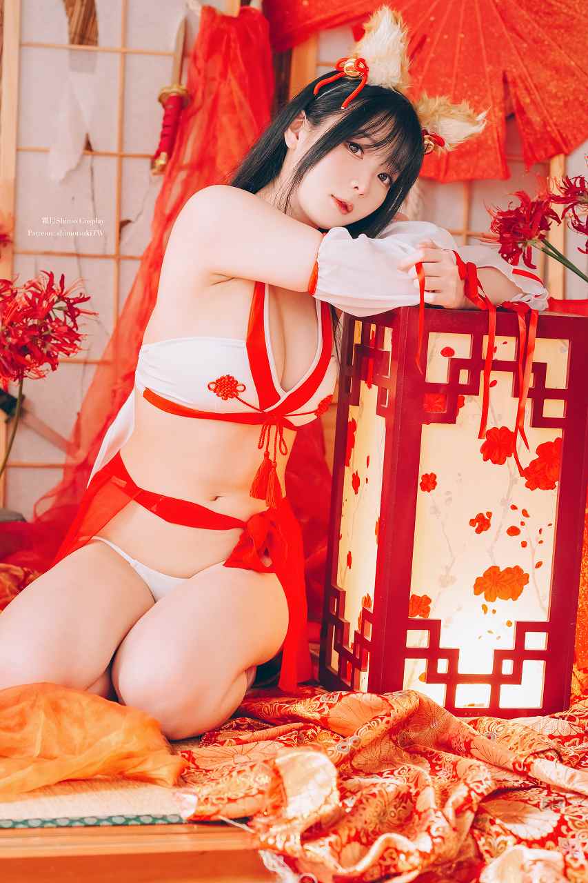 霜月shimo-Fox Miko [23P-264M] 兽耳娘-第4张